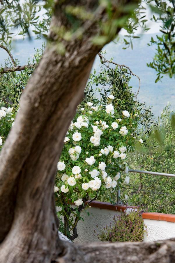 Villa Annetta Poggi Extérieur photo